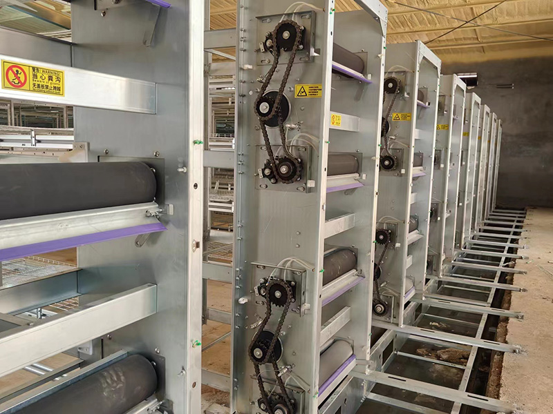 肉雞籠安裝現場