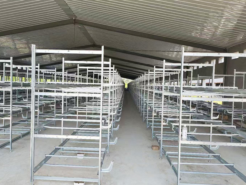 層疊式肉雞籠養設備