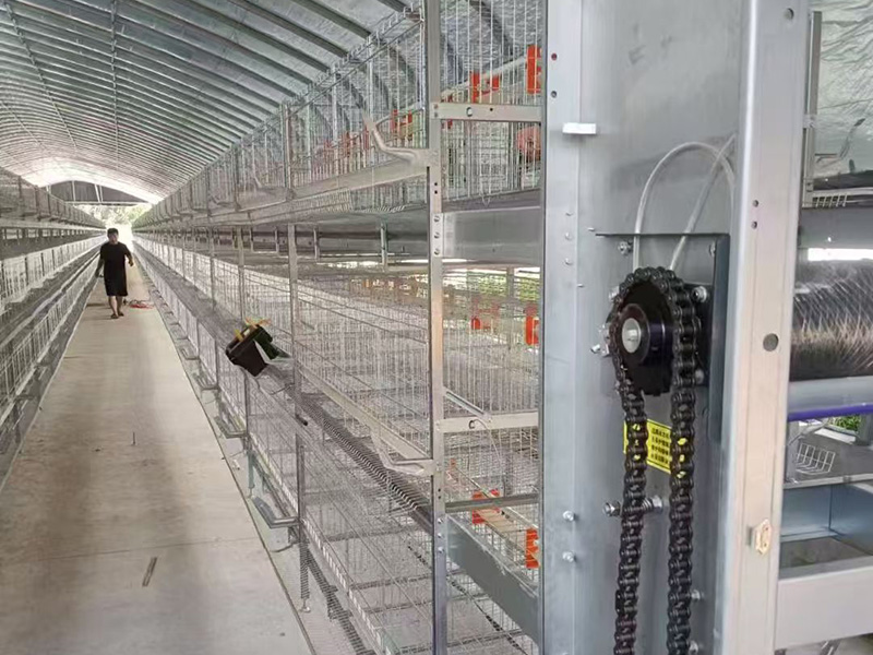 層疊式肉雞籠養設備