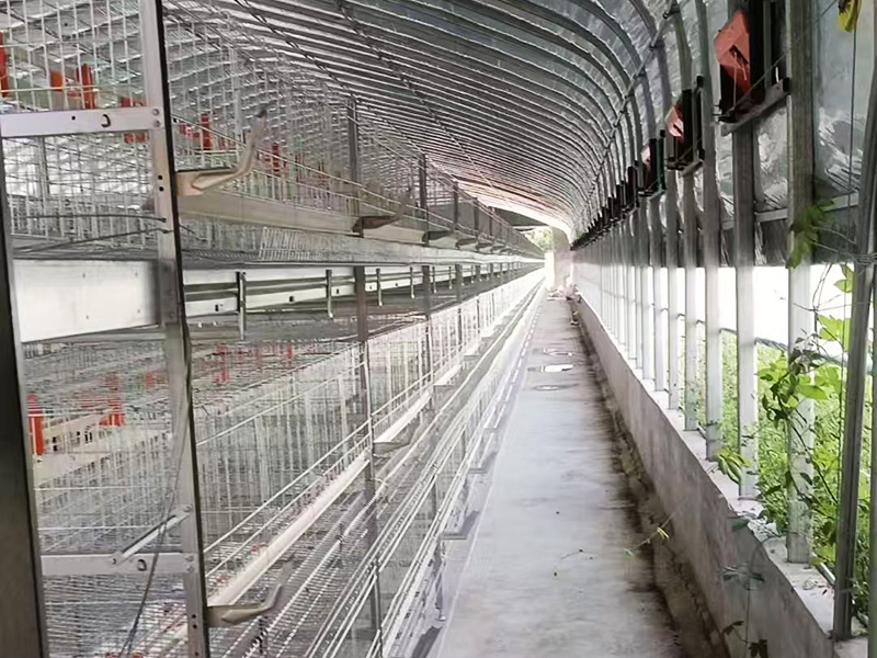 層疊式肉雞籠養設備