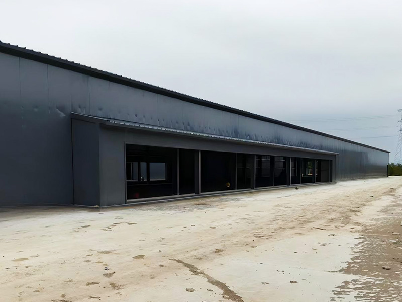 肉雞籠現場安裝